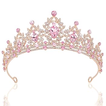 ♚ Crown♔ Case Terex Carraro Crown Wheel Pinion Teeth 12x33 1:2,750